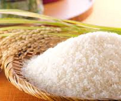 Rice